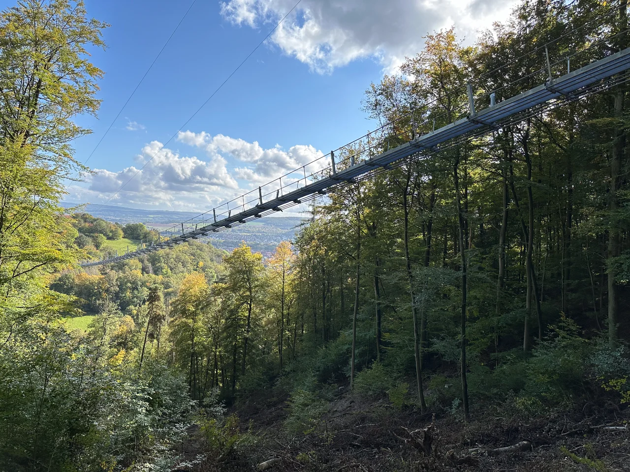 Highwalk Hängebrücke Rotenburg – Seitenansicht über das Kottenbachtal
