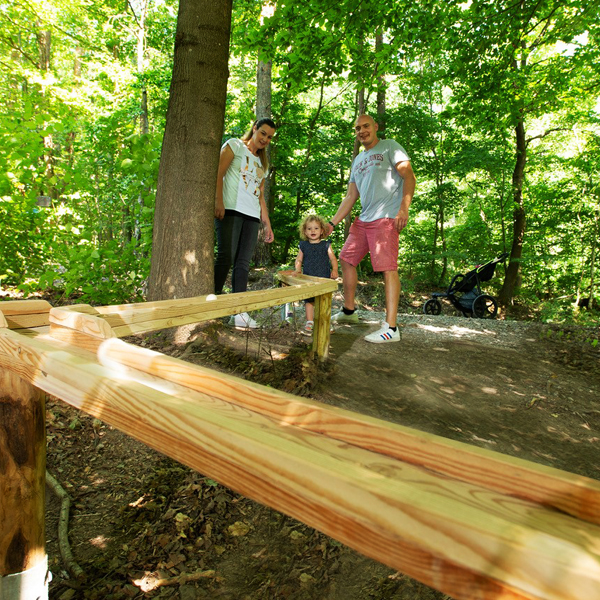 Waldkugelbahn für Familien am Göbel's Hotel Rodenberg