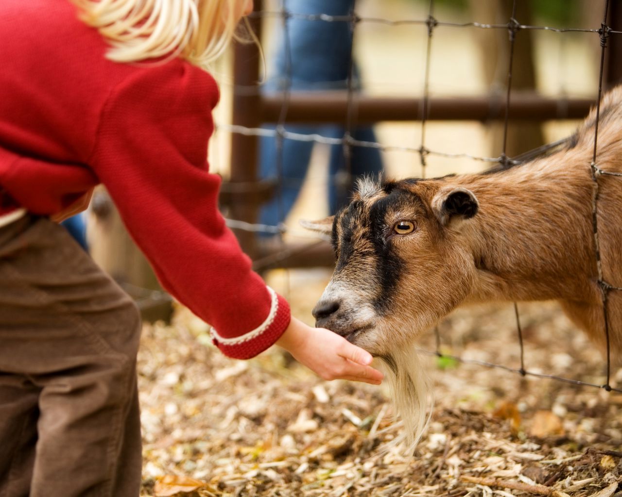 Wildgehege Rotenburg an der Fulda
